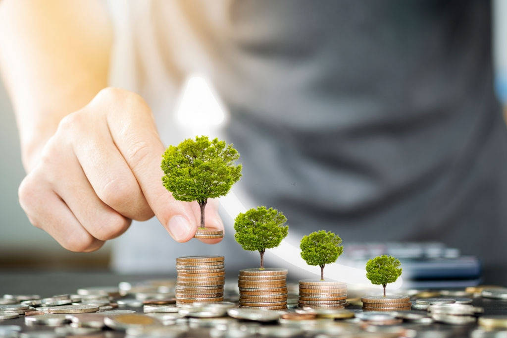 Estrategia empresarial y jurídica